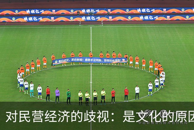 对民营经济的歧视：是文化的原因，还是意识形态的推动